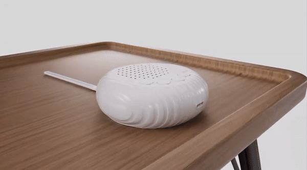 ZENBOX